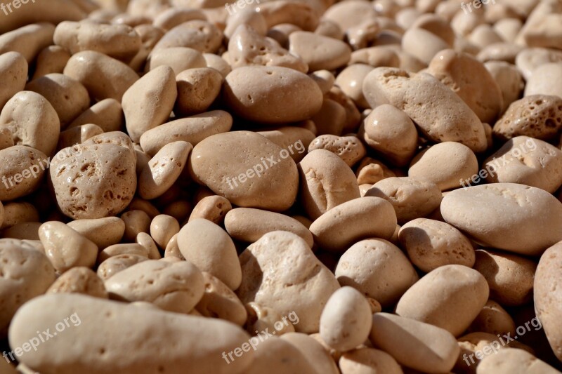 The Stones Beach Pebbles The Background Stone