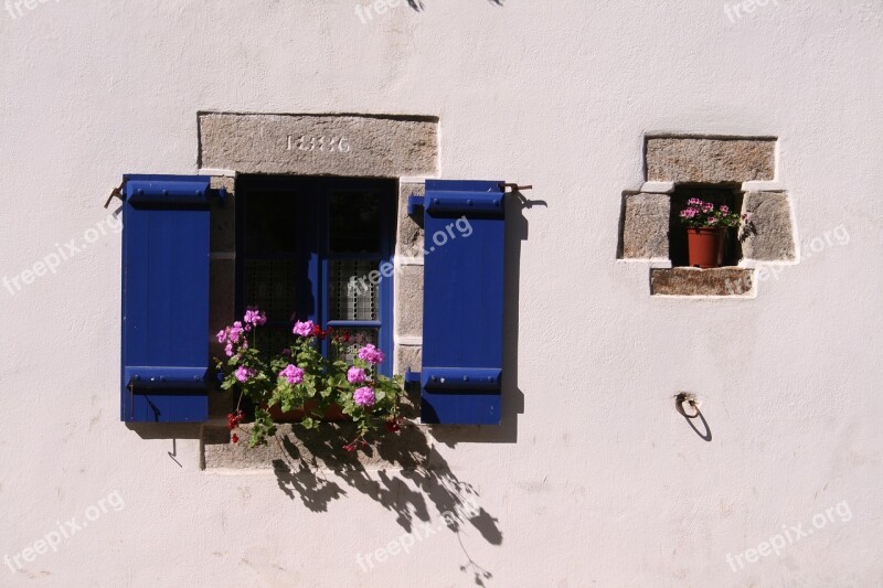 Window Old Flowers Wall House