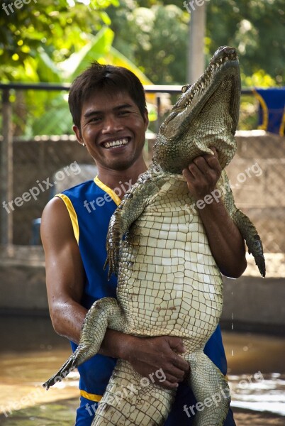 Crocodile Alligator Zoo Circus Predator