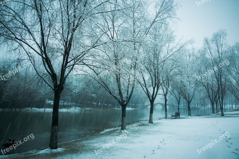 Hiromasa Lake Zhejiang University Snow Winter Free Photos