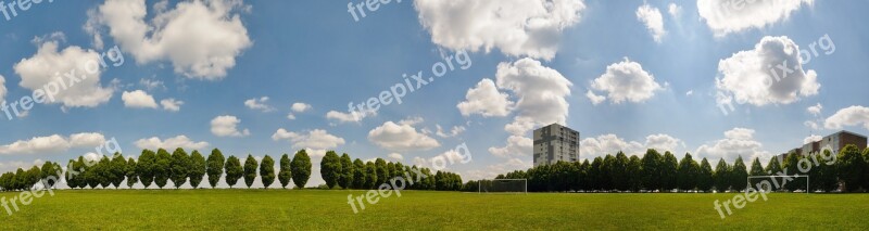 Sports Field Panorama Banner Tree Grass