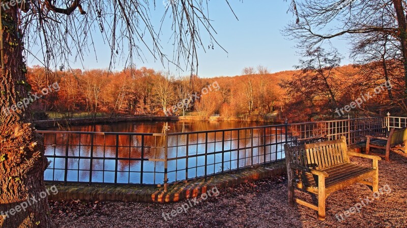 Pond Autumn Emerge Park Water