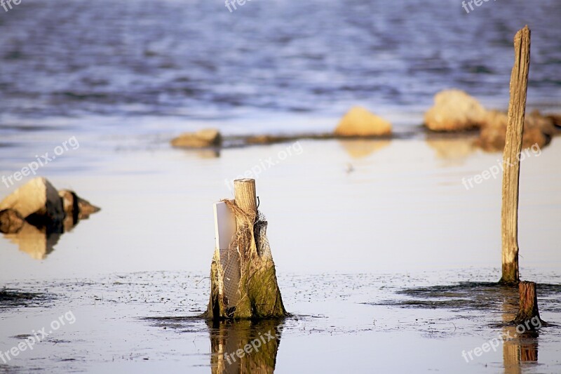 Water Wood Nature Blue Calm