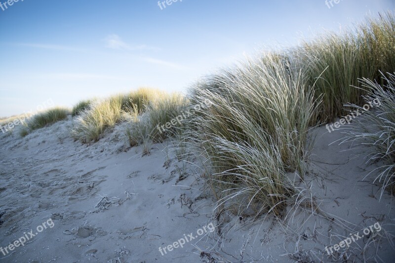 Baltic Sea Winter Dune Beach Ice