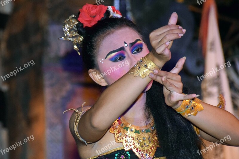 Bali Indonesia Travel Ubud Event