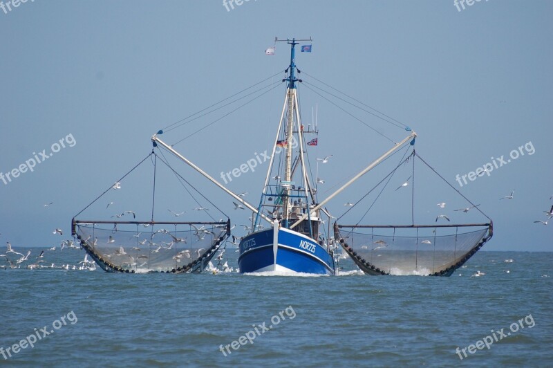 North Sea Cutter Fishing Vessel Fishing Fisherman