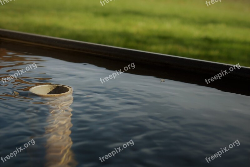 Pond Plug Water Meadow Nature