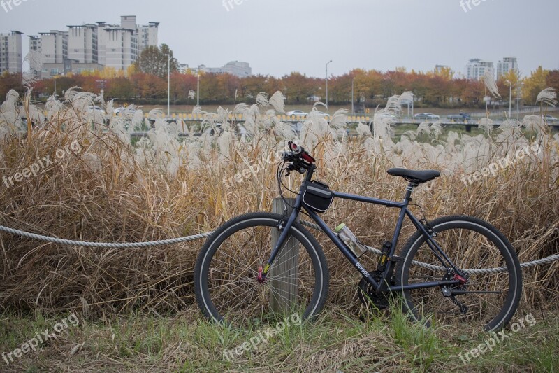 Bike Hybrid Hybrid Bicycles Burgos Black Molly Bike