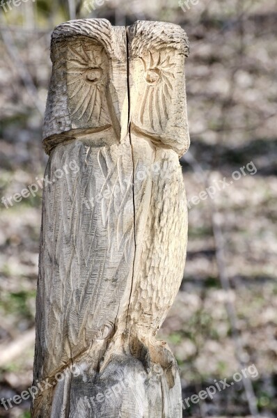 Owl Wood Carving Holzfigur Figure