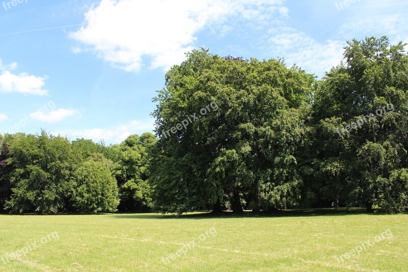 Frankfurt Park Ecological Nature Landscape