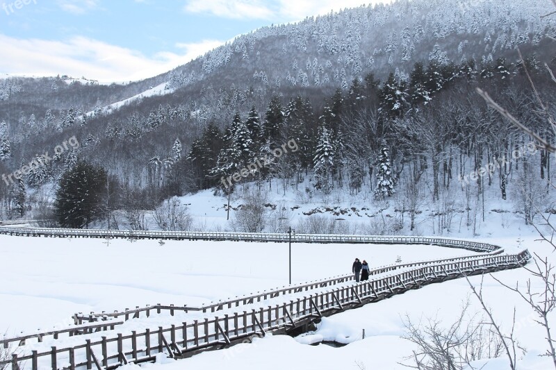 Winter Snow Cold White Landscape