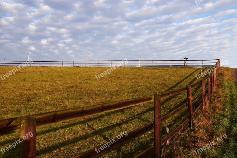 Pasture Background Nature Green Grass