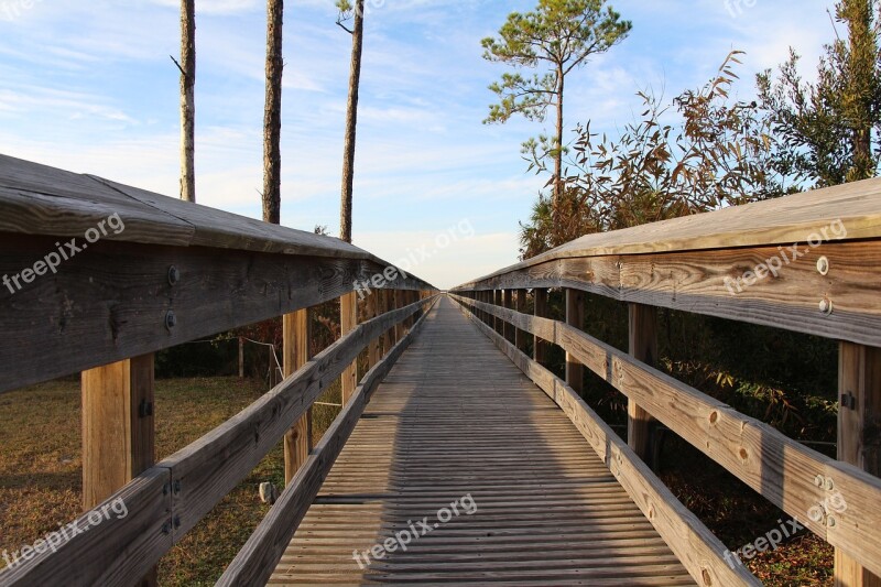 Beach Trees Boardwalk Fishing Sky