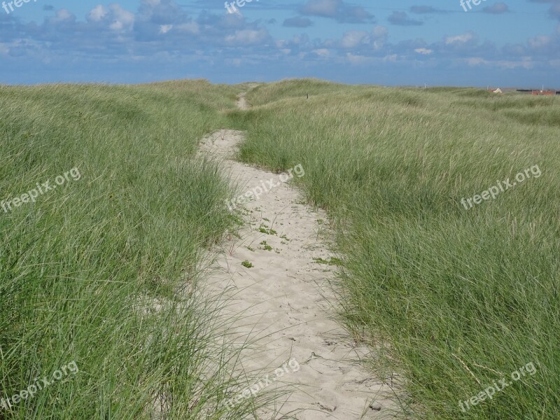 Dunes Dune Hike Beach Sea Summer