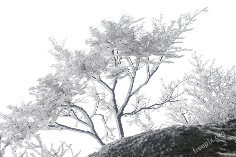 China Anhui Huangshan Winter Rime