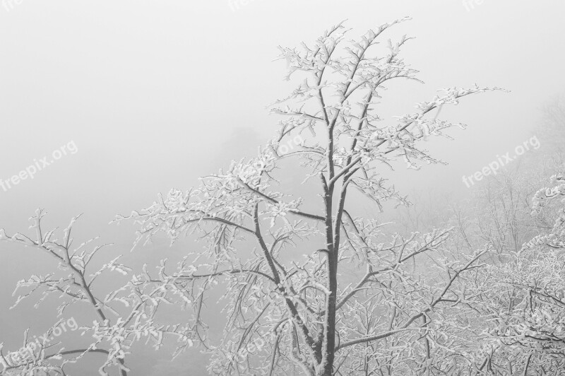 China Anhui Huangshan Winter Snow