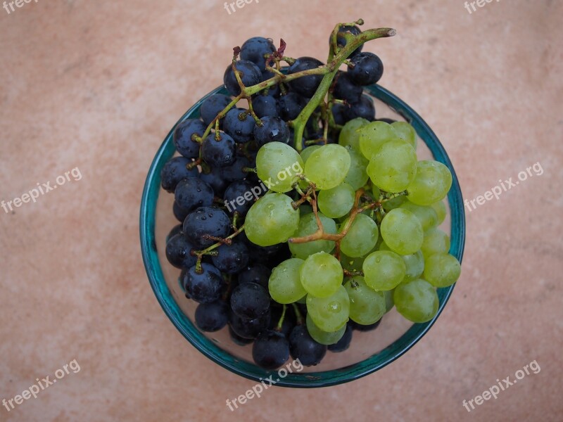 Grapes Red Blue Vines Fruit