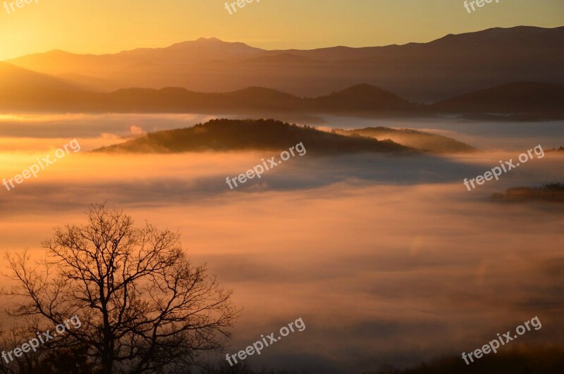 East Tree Cloud Sky Mountain