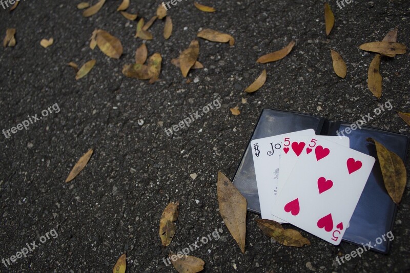 Cards Ground Leaves Playing Cards Hearts