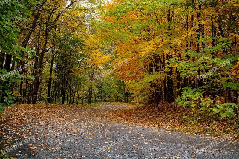 Canada Fall Autumn Colors Colorful