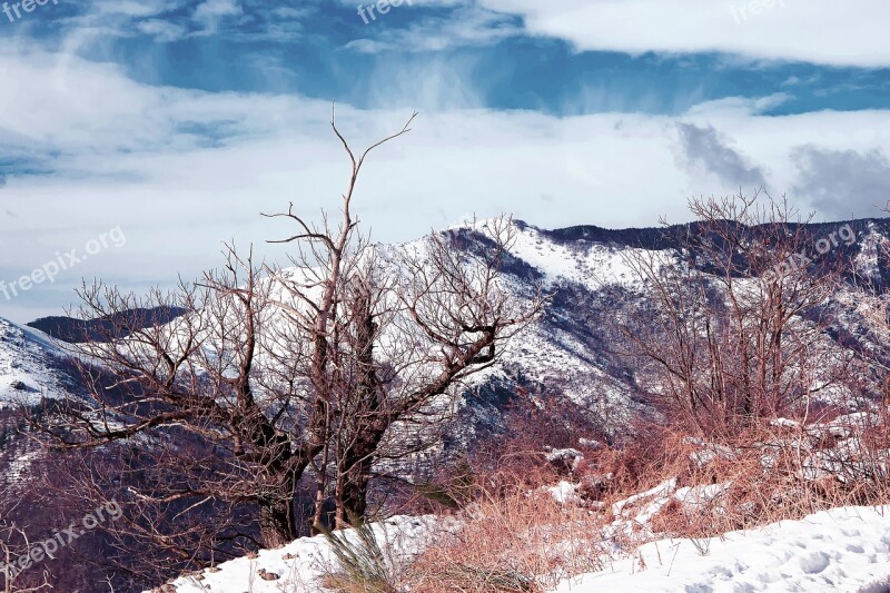 Winters Snow Nature Snowy Landscape Mountain