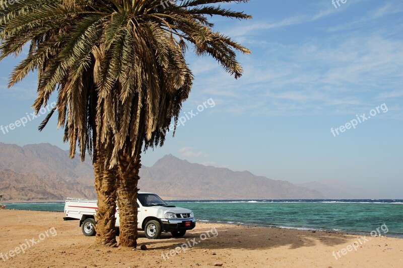 Beach Palm Auto Sea Sea View