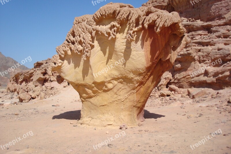 White Desert South Sinai Mushroom From Stone Free Photos