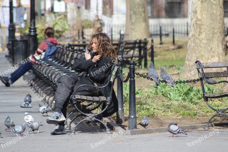 Person Bird Birds Park New York