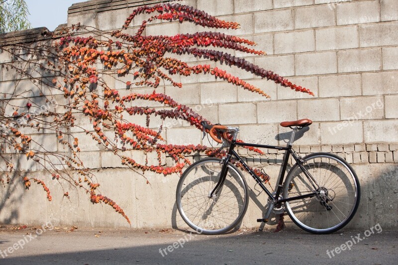 Road Bike Road Cycles Smile Bike Astro Is Smiles