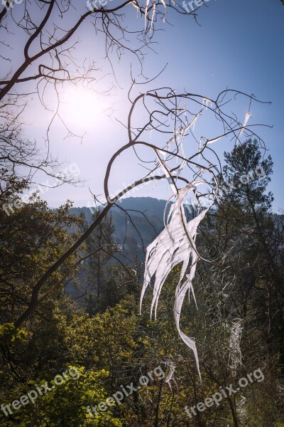 Ice Formation Natural Sculpture Ephemeral Cold Winter