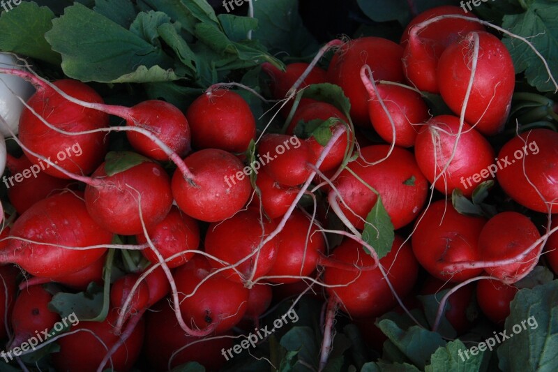 Radishes Food Red Tubers Vegetables