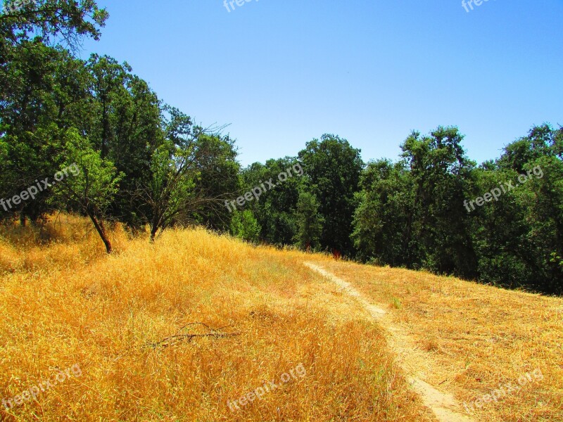 California Hill Grass Hiking Landscape