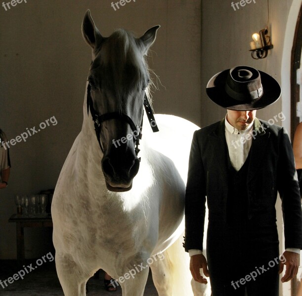 Portugal Horse White Horse Hat Man