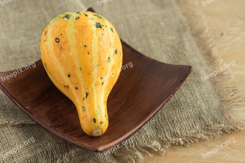 Pumpkin Yellow Pumpkin A Vegetable Ornament Decorative Pumpkin