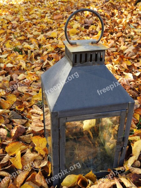 Autumn Leaves Wet Moist Lantern