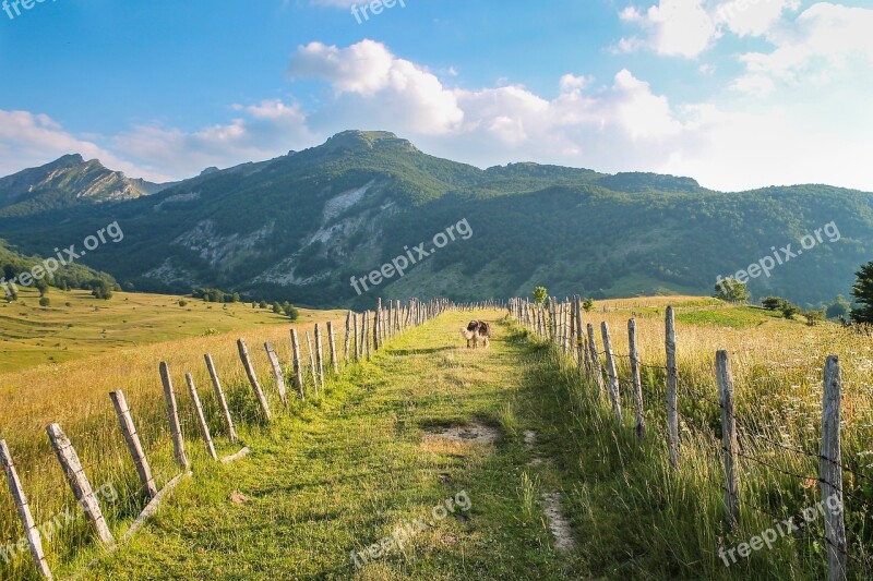 Wanderlust Hiking Mountains Landscape Path