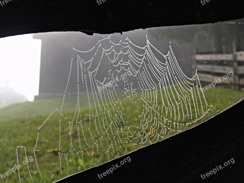 Cobweb Alpine Farm Barn Nature