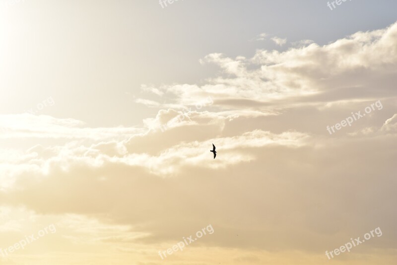 Heaven Nature Sun Clouds Blue Skies