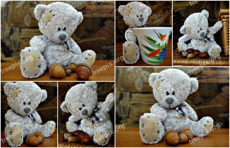 Collage Teddy Bear The Mascot Plush Mascot Cuddly