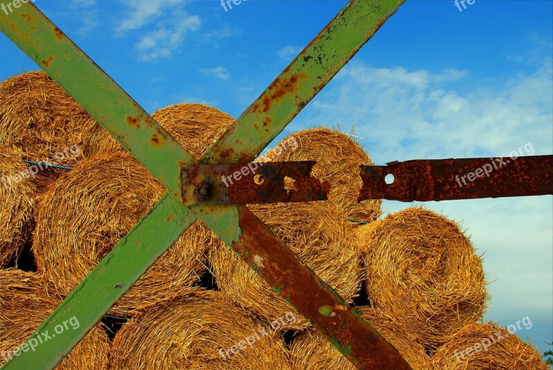 Hay Field Agriculture Rural Straw