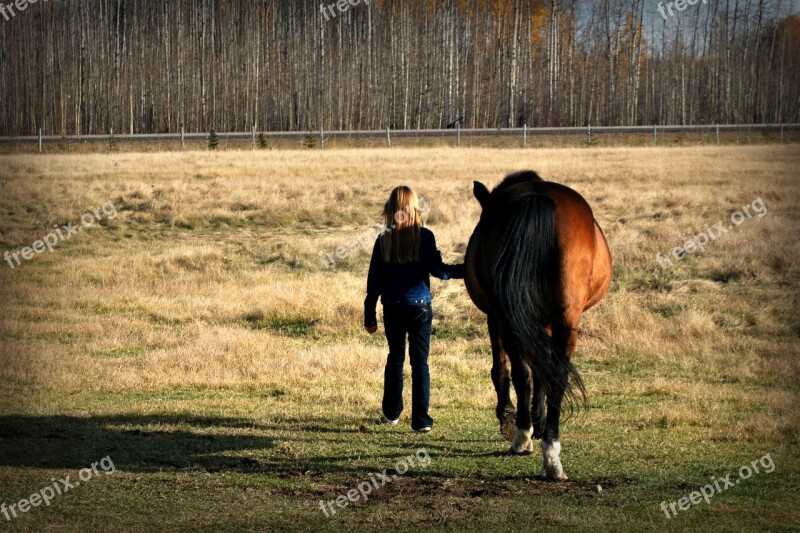 Horse Girl Fall Pasture Animal