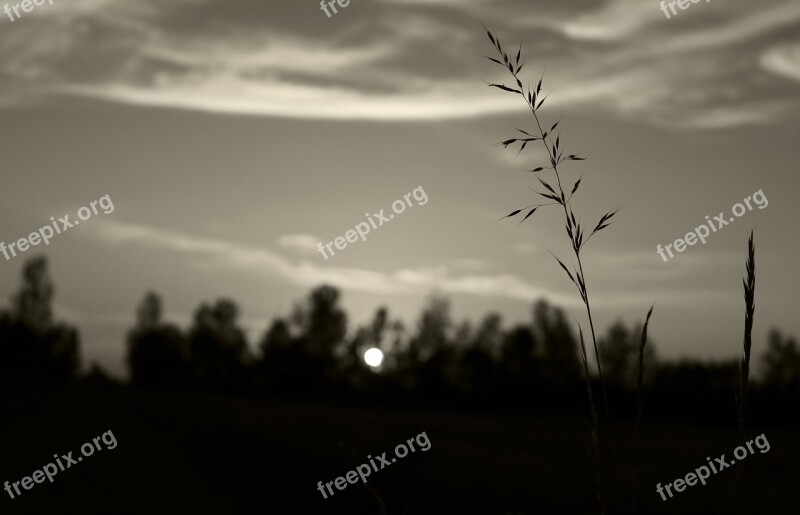 Sky Clouds White Nero Nature