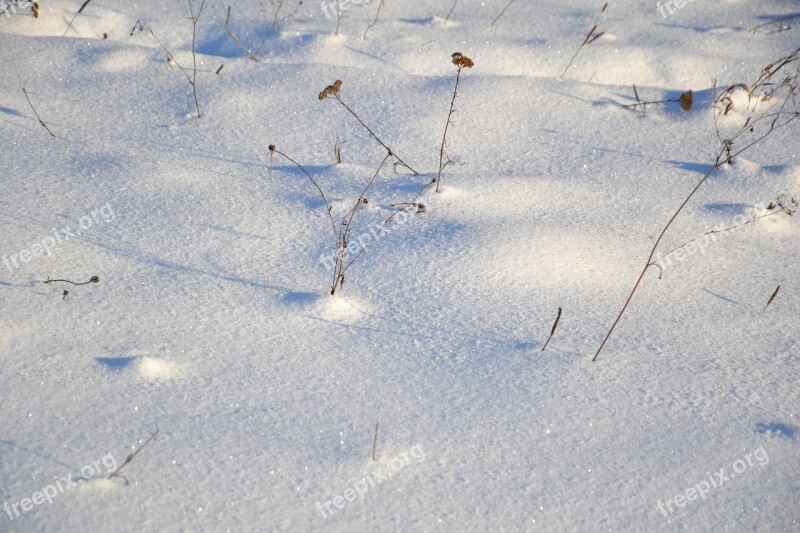 Winter Snow Nature Landscape Field