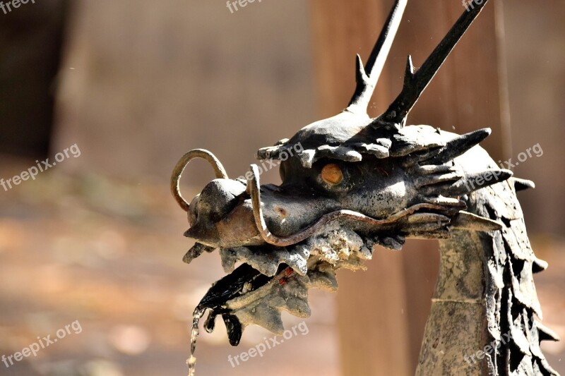 Dragon Water Japan Traditional Shrine