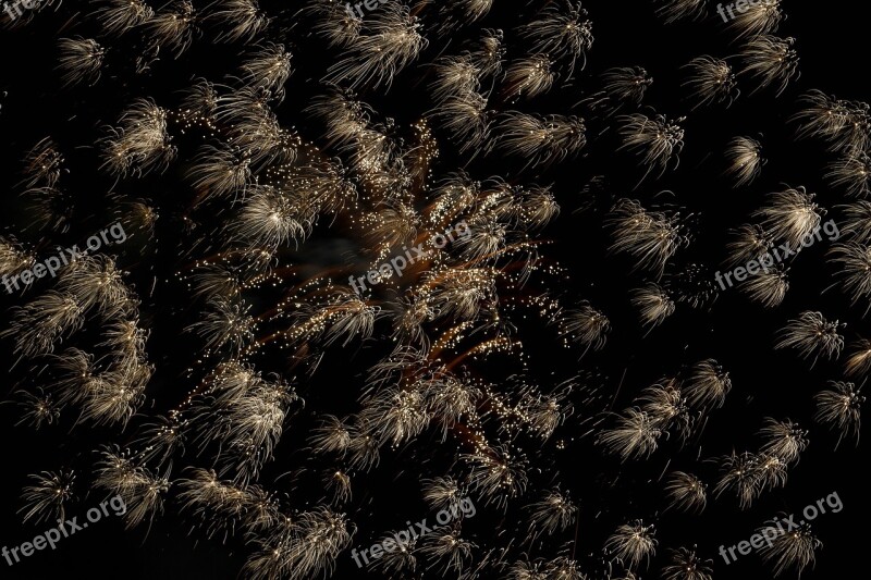 Fireworks New Year's Eve Night Pyrotechnics Sylvester