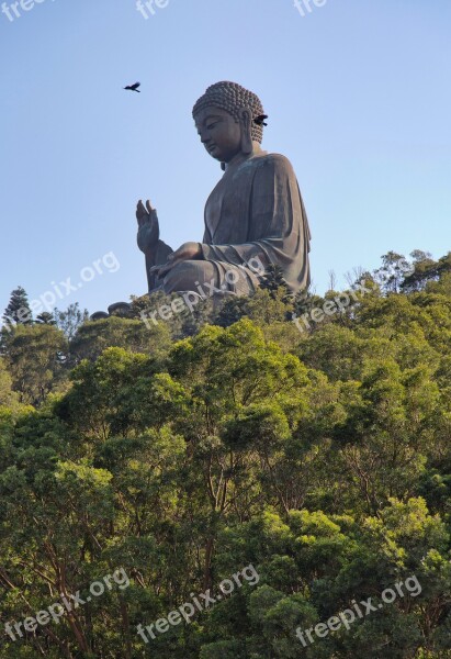 Buddha Hong Kong Lantau Asia Buddhism