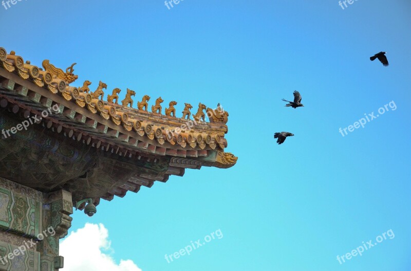 The National Palace Museum Eaves Beijing Old Buildings Free Photos