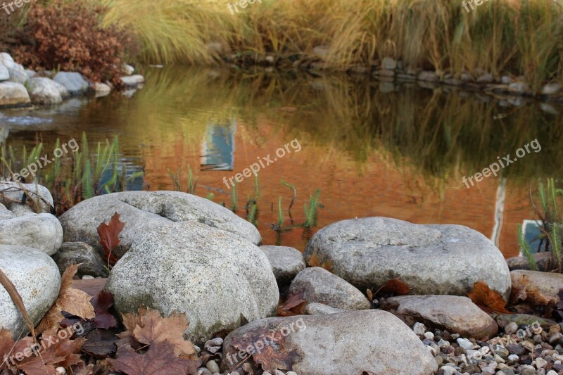 Water Lagoon Stones Reeds Leaves