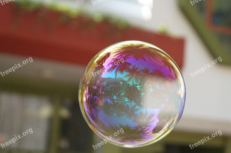 Soap Bubble Colourfull Ball Make Soap Bubbles