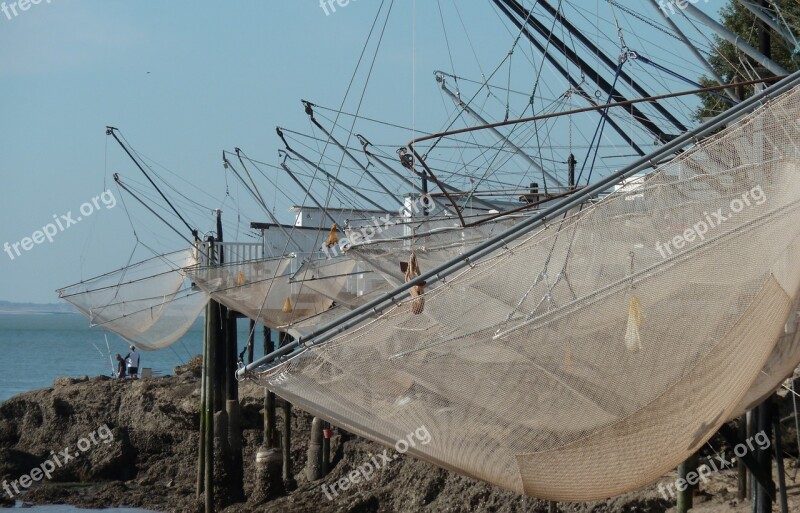 Fishing Plaice Netting Gironde Free Photos